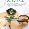 Multi-Layer Stainless Steel Scissors